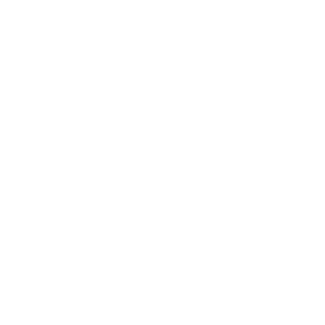 vision bg